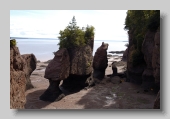 Hopewell Rocks_2005_136